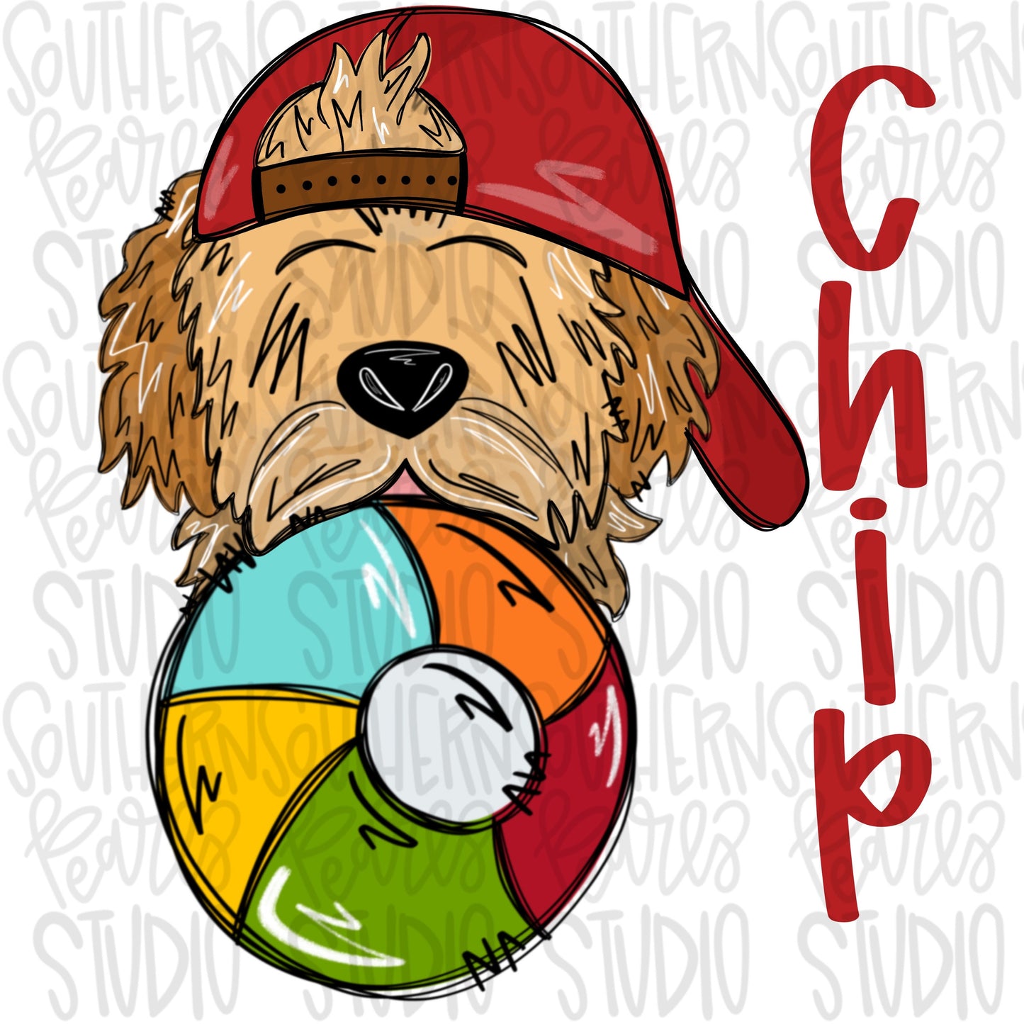 Goldendoodle with Beach Ball Boy | Sublimation Design | Digital Download | Women’s, Kids Shirt PNG SVG