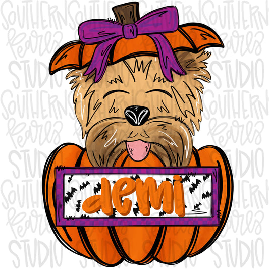 Yorkie in pumpkin with bow and Name Patch | Sublimation Design | Digital Download | Women’s, Kids Shirt PNG