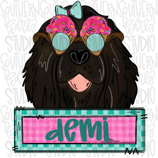 Summer Ice Cream Boykin spaniel with patch Girl | Sublimation Design | Digital Download | Women’s, Kids Shirt PNG