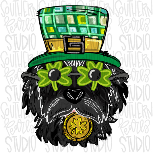 Black Goldendoodle | St Patrick Day | Sublimation Design | Digital Download | Women’s, Kids Shirt PNG