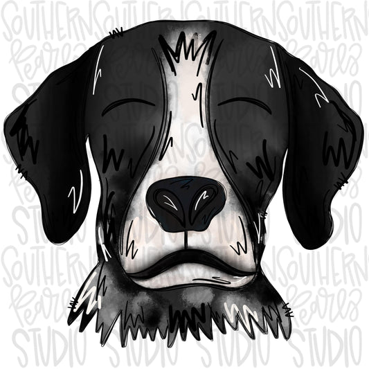 Pointer dog black | Sublimation Design | Digital Download | Women’s, Kids Shirt PNG