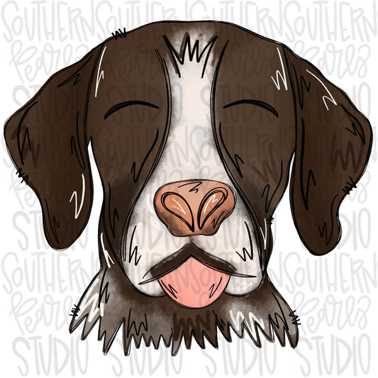 Pointer dog | Sublimation Design | Digital Download | Women’s, Kids Shirt PNG